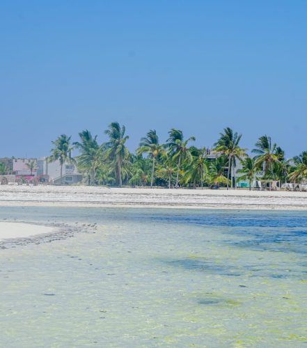 Beautiful clear blue waters and white sand beach on the Kenyan coast