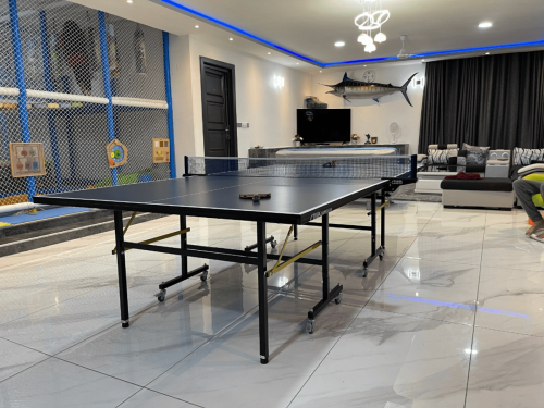 game-room-ping-pong
