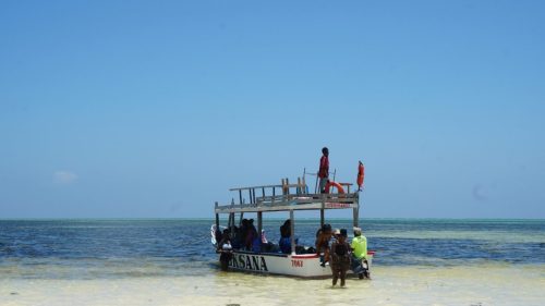 glass-bottom-boat-marine-tour