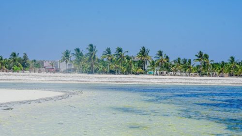 pristine-white-sand-beach-tour